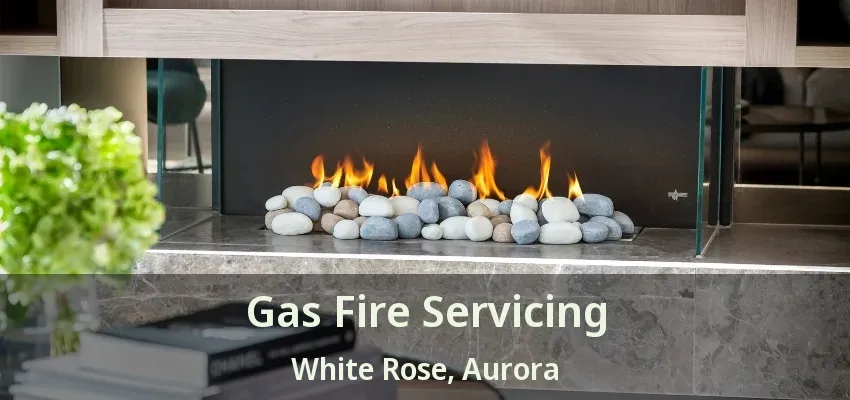 Gas Fire Servicing White Rose, Aurora - ON Gas Fire Servicing White Rose, Aurora - ON