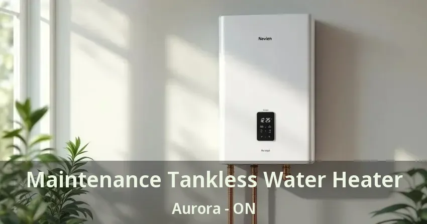 Maintenance Tankless Water Heater Aurora - ON Maintenance Tankless Water Heater Aurora - ON