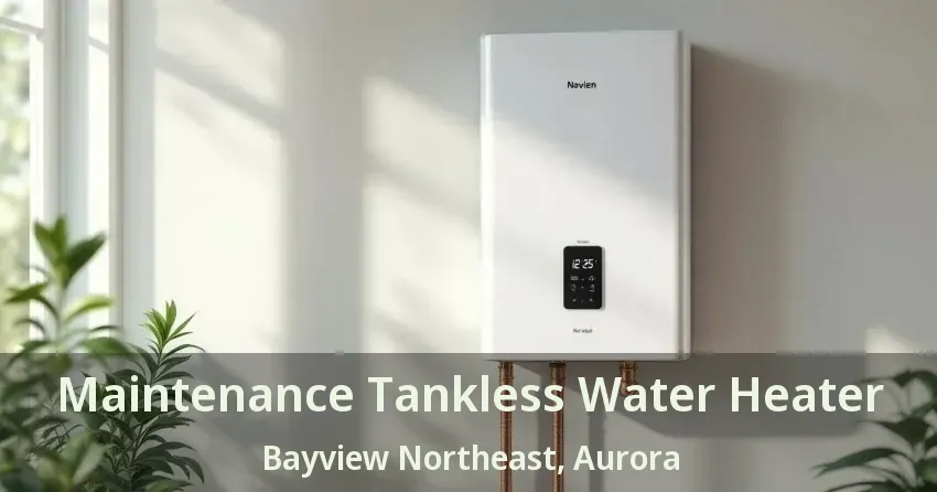 Maintenance Tankless Water Heater Bayview Northeast, Aurora - ON
