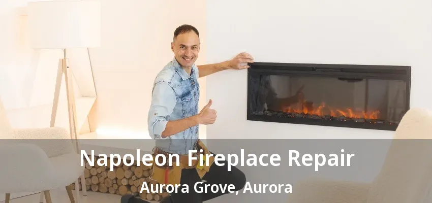 Napoleon Fireplace Repair Aurora Grove, Aurora - ON Napoleon Fireplace Repair Aurora Grove, Aurora - ON
