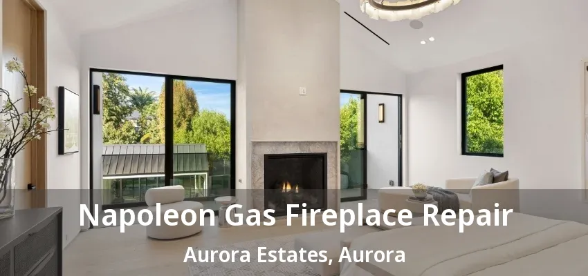Napoleon Gas Fireplace Repair Aurora Estates, Aurora - ON Napoleon Gas Fireplace Repair Aurora Estates, Aurora - ON