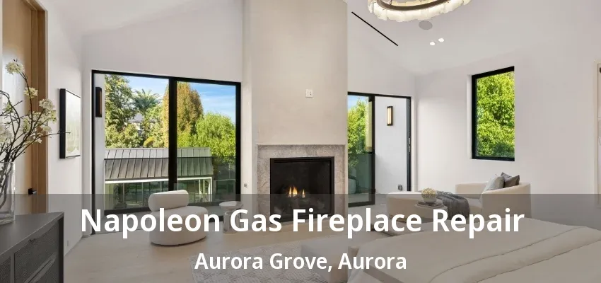 Napoleon Gas Fireplace Repair Aurora Grove, Aurora - ON Napoleon Gas Fireplace Repair Aurora Grove, Aurora - ON