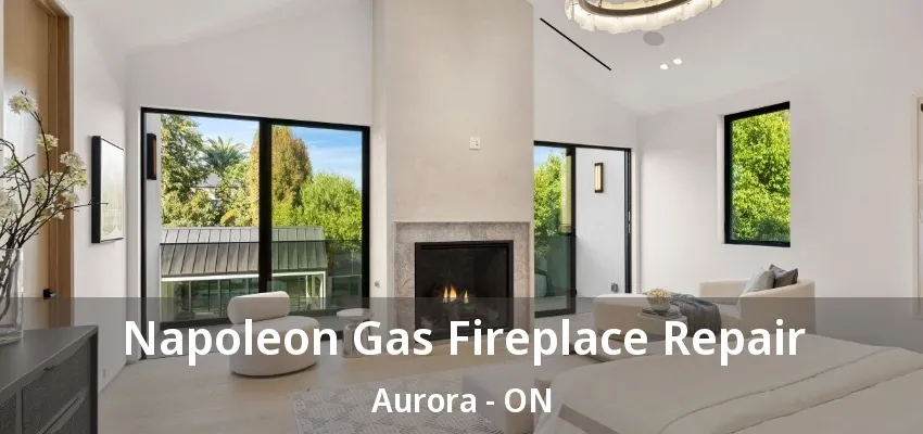 Napoleon Gas Fireplace Repair Aurora - ON Napoleon Gas Fireplace Repair Aurora - ON