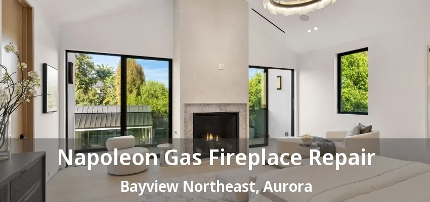 Napoleon Gas Fireplace Repair Bayview Northeast, Aurora - ON Napoleon Gas Fireplace Repair Bayview Northeast, Aurora - ON