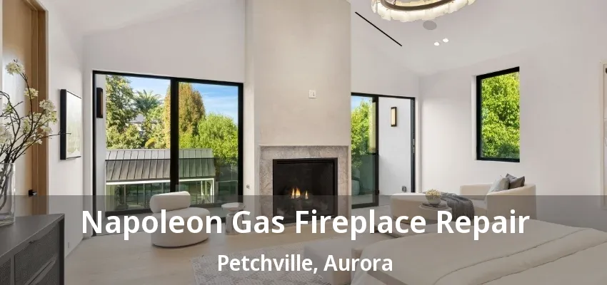 Napoleon Gas Fireplace Repair Petchville, Aurora - ON Napoleon Gas Fireplace Repair Petchville, Aurora - ON