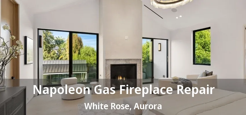 Napoleon Gas Fireplace Repair White Rose, Aurora - ON Napoleon Gas Fireplace Repair White Rose, Aurora - ON