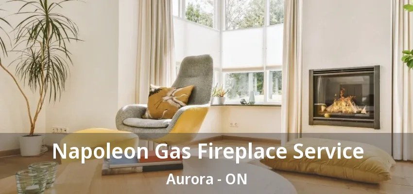 Napoleon Gas Fireplace Service Aurora - ON Napoleon Gas Fireplace Service Aurora - ON