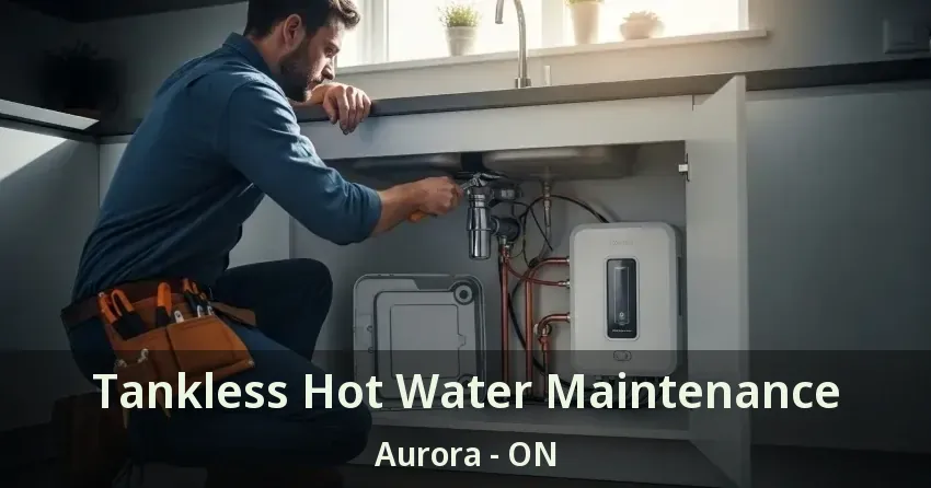Tankless Hot Water Maintenance Aurora - ON Tankless Hot Water Maintenance Aurora - ON
