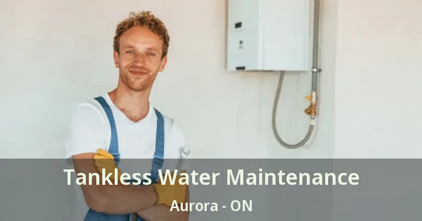Tankless Water Maintenance Aurora - ON Tankless Water Maintenance Aurora - ON
