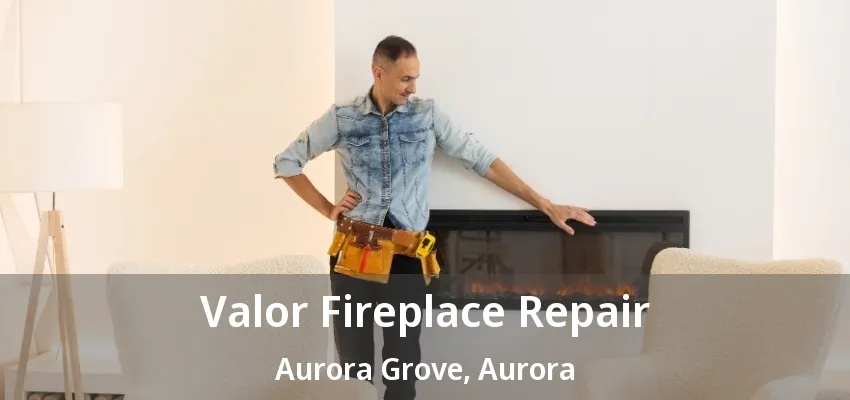 Valor Fireplace Repair Aurora Grove, Aurora - ON